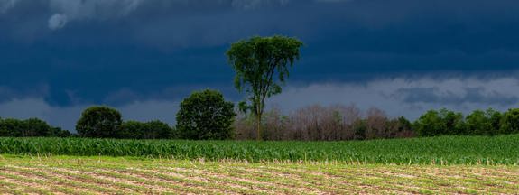 Hero Summer Storms