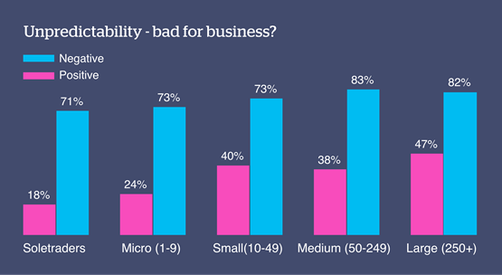 Source: The QBE Unpredictability Index - 2019 ‘What impact, if any, have unpredictable events had on the business you work for?’