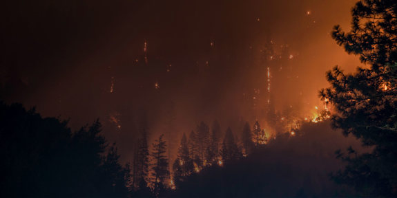 Forest Fires